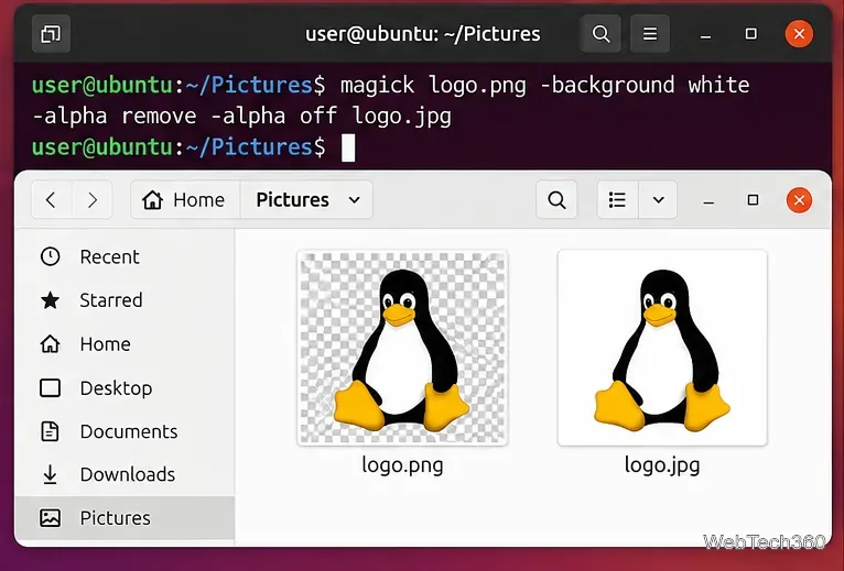 Linux terminal showing ImageMagick removing PNG transparency before saving logo.jpg on a white background