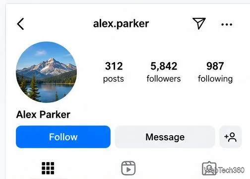 Un altro profilo Instagram con il menu delle opzioni a tre puntini in alto a destra.