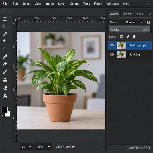 GIMPレイヤーは、元の植物写真レイヤーの上に選択された複製植物写真レイヤーとドッキングします。