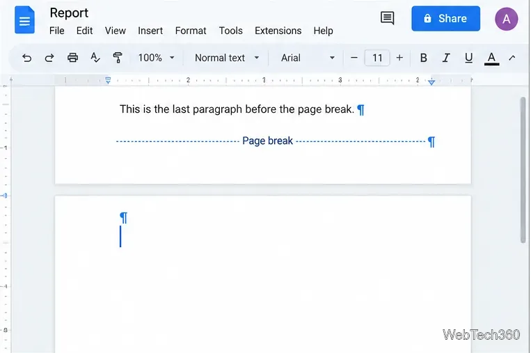 Google Docs page break marker visible between two pages with paragraph marks shown