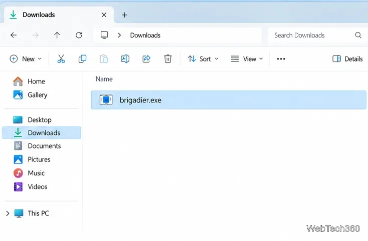 Illustration d'un dossier Téléchargements Windows avec brigadier.exe sélectionné.