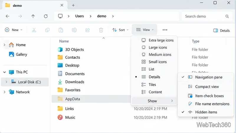 Explorateur de fichiers Windows 11 affichant le menu Affichage, Afficher, Éléments masqués et le dossier AppData dans un profil utilisateur