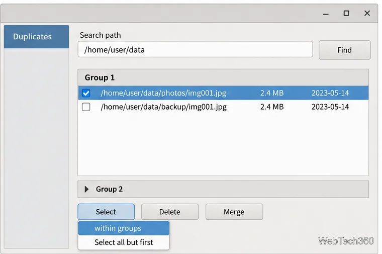 FSlint Select menu showing an all-but-first option for carefully reviewing duplicate groups