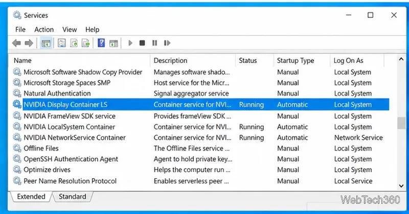 Windows 10 Services console showing NVIDIA Display Container LS running