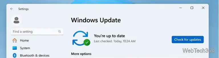 ภาพประกอบ Windows Update ใน Windows 11 แสดงปุ่ม "ตรวจสอบการอัปเดต"