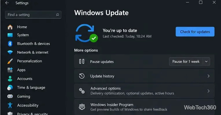 Windows 11 Windows Update settings page with Check for updates visible