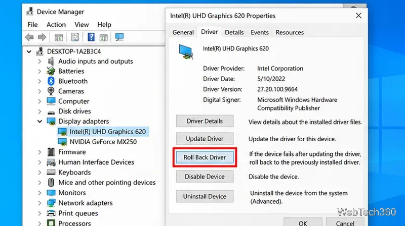 Device Manager Roll Back Driver option for a graphics adapter