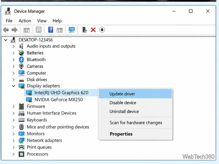 Device Manager Update driver option for a Windows display adapter