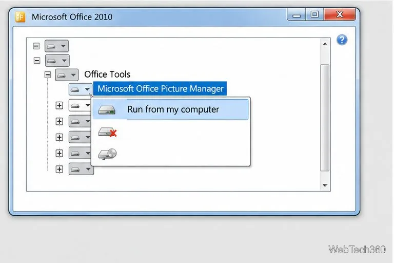 Illustrative setup feature list with Office Tools expanded and Run from my computer selected for Microsoft Office Picture Manager