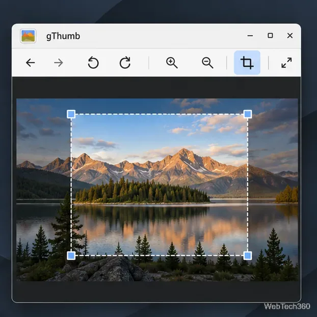 Drag the crop boundary to keep the part of the image you want.