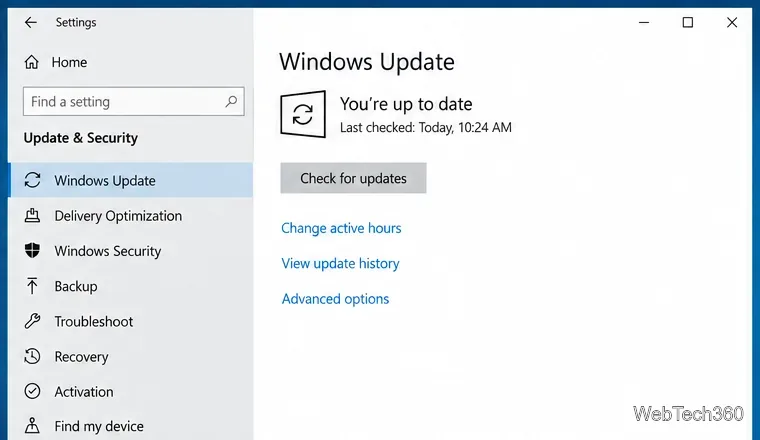 Windows 10 Settings open to Windows Update with the Check for updates button visible