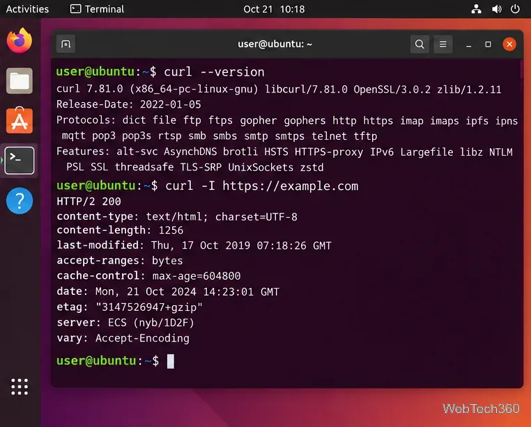 Ubuntuターミナルにcurl --versionとexample.comへのcurl -Iリクエストが表示されている。