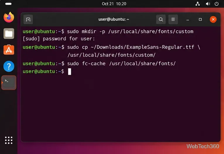 Copia di un font da Ubuntu Terminal nella cartella usr local share fonts per un'installazione a livello di sistema.
