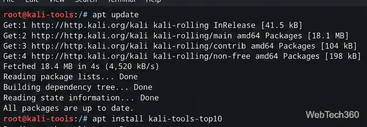 Kali container terminal updating package indexes and preparing to install kali-tools-top10