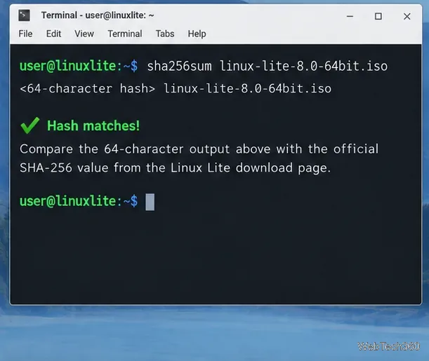 O vedere schematică a terminalului a comenzii SHA-256 și o comparație cu hash-ul oficial Linux Lite.