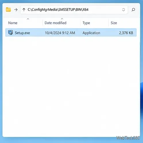 Conceptual File Explorer view with Setup.exe selected in the extracted SMSSETUP BIN X64 folder