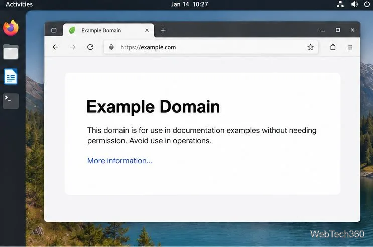 Une fenêtre de navigateur Midori ouverte sur le site web du domaine d'exemple