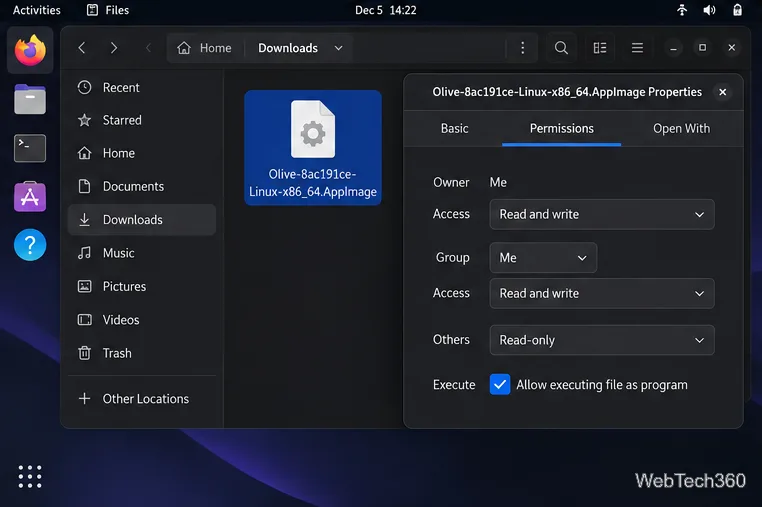 A GNOME Files Properties dialog for the Olive AppImage with the executable permission enabled.