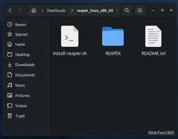 Извлеченная папка REAPER Linux, содержащая файл install-reaper.sh, каталог приложения REAPER и файл README.