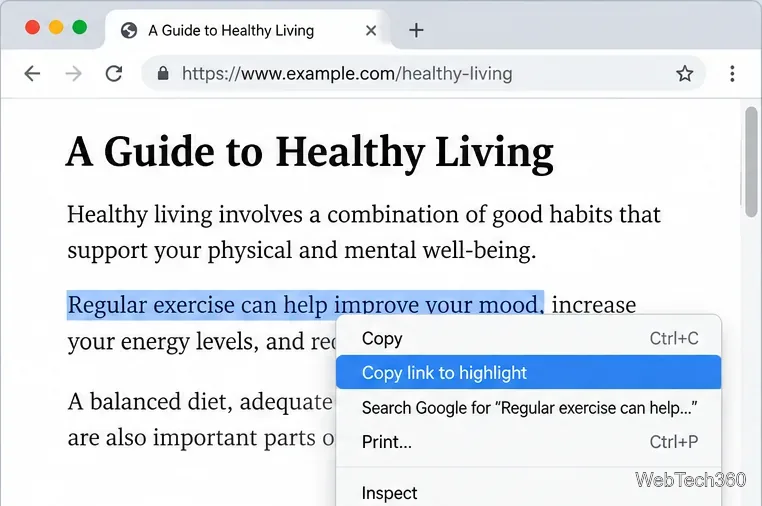 Kontextmenü im Chrome-Stil mit der Option „Link kopieren“, um den markierten Text hervorzuheben