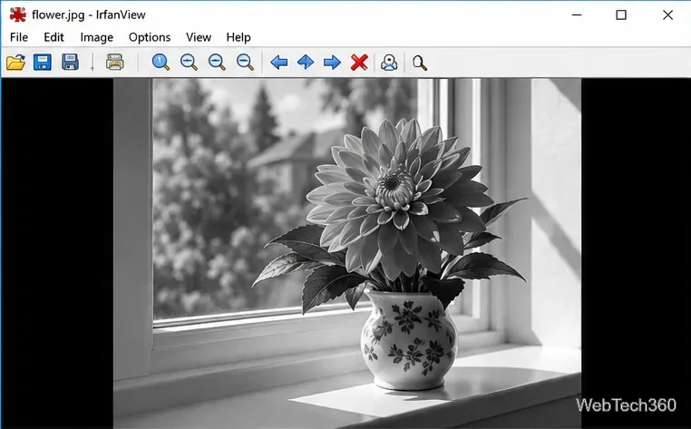 The flower image after IrfanView has converted it to grayscale, with visible shades from white to black.