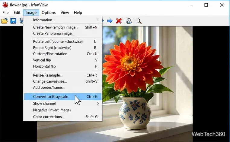 IrfanView’s Image menu with Convert to Grayscale highlighted and its Ctrl+G shortcut visible.