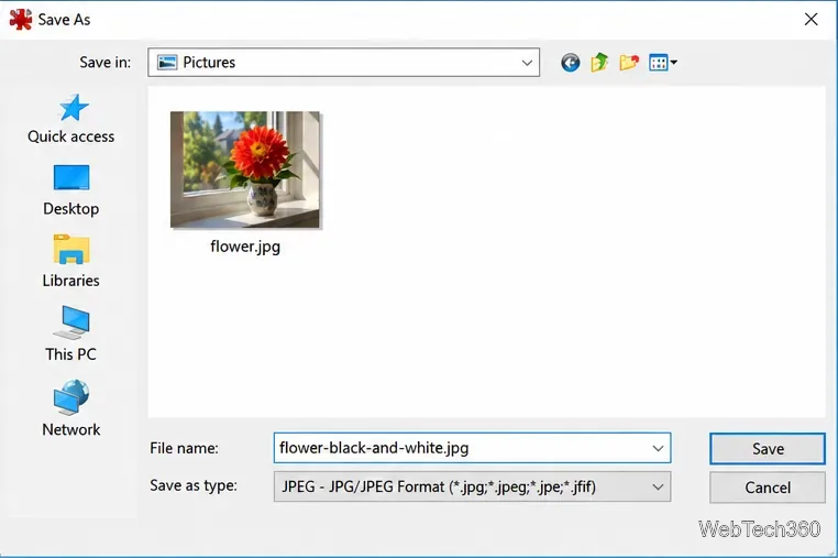 The IrfanView Save As dialog with flower-black-and-white.jpg in the filename field and the Save button visible.
