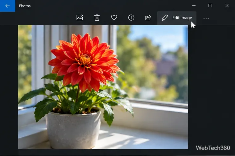 Come trasformare una foto in bianco e nero su Windows 10