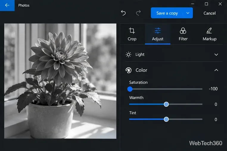 The same flower photo displayed in grayscale while the Photos Saturation slider is set to its minimum.