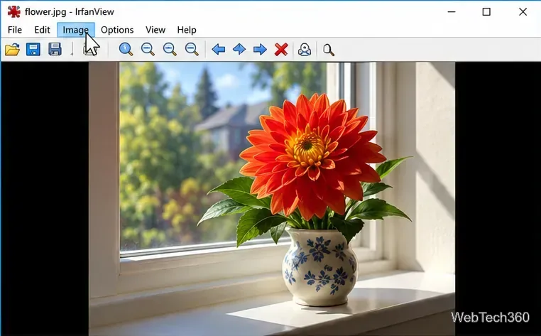 A color flower photograph open in the IrfanView desktop application, with the Image menu highlighted.