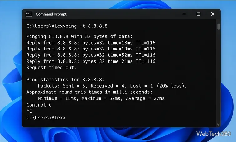The ping summary lists sent and received packets, packet loss, and minimum, maximum, and average round-trip times.
