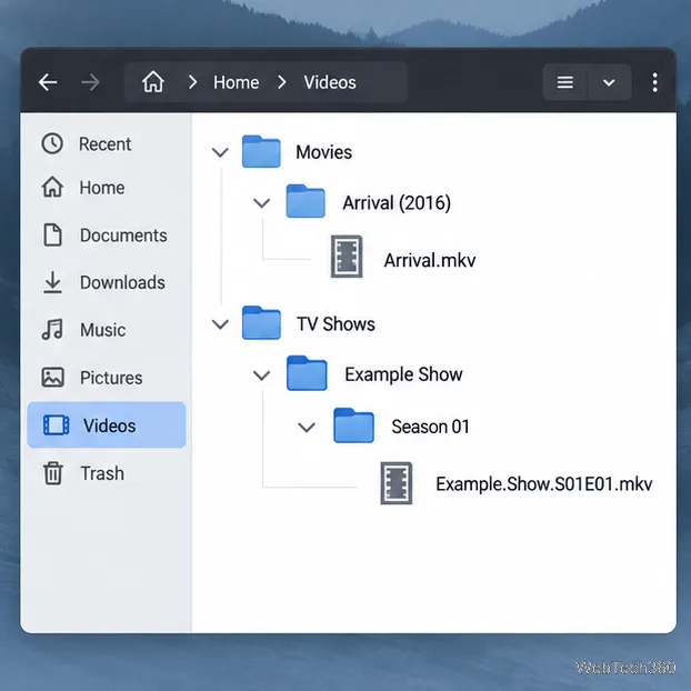 Comment organiser ses séries TV et ses films sous Linux avec tinyMediaManager