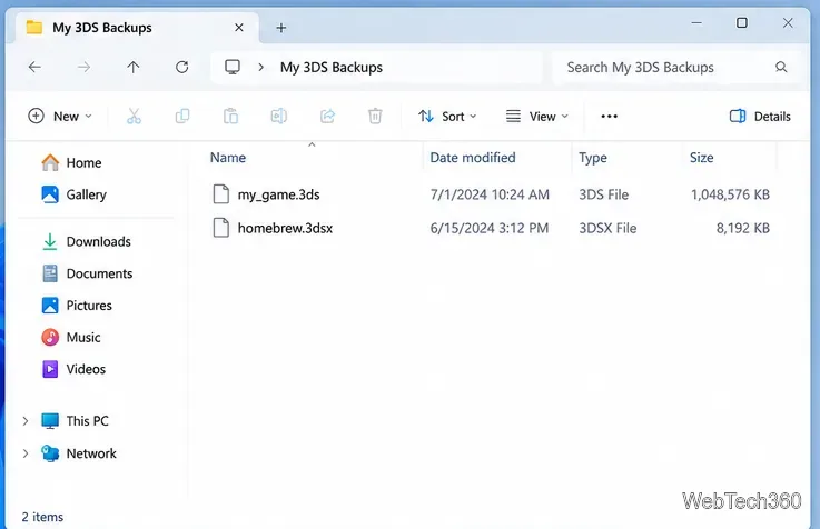 Finestra di Esplora file che mostra una cartella di backup di un gioco personale contenente file di esempio .3ds e .3dsx