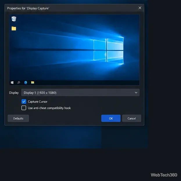 Display Capture properties with Display 1 selected
