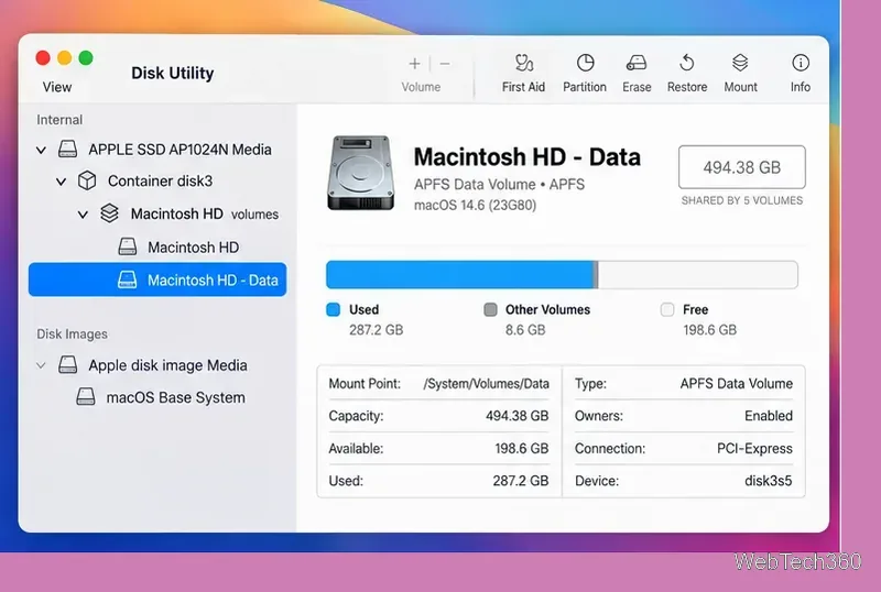 Seitenleiste des Festplattendienstprogramms, wobei Macintosh HD Data als letztes Volume ausgewählt ist