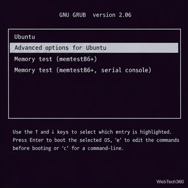 Le menu GRUB met en évidence les options avancées pour Ubuntu.