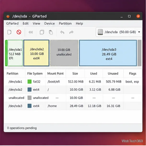 After a 20-to-10 GiB shrink, 10 GiB is free; use a live session for /.