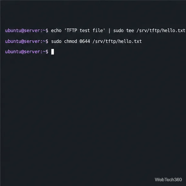 Terminal du serveur Ubuntu : écriture du fichier hello.txt dans /srv/tftp et définition des permissions du fichier à 0644