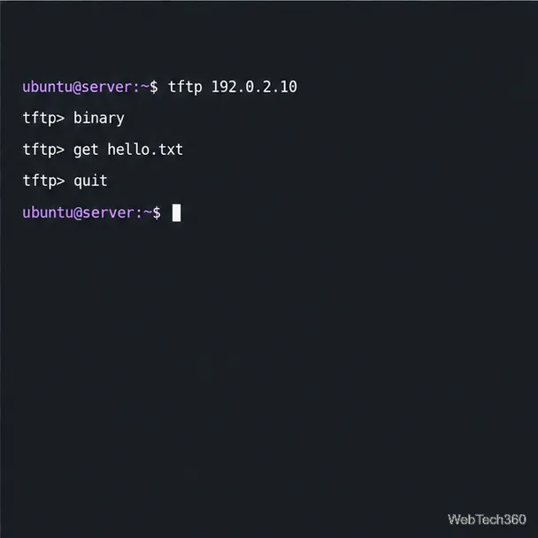Terminal client TFTP se connectant au serveur d'exemple et téléchargeant hello.txt en mode binaire