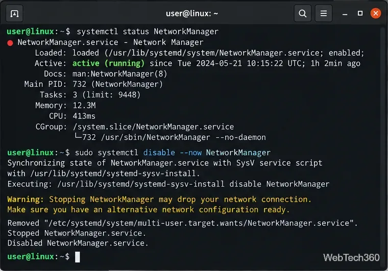Das Linux-Terminal prüft den NetworkManager und zeigt den Befehl zum Deaktivieren an, bevor die Schnittstelle an systemd-networkd übergeben wird.