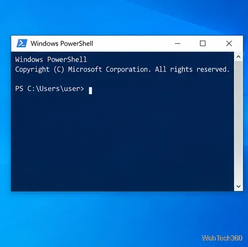 A Windows PowerShell window open at a prompt.