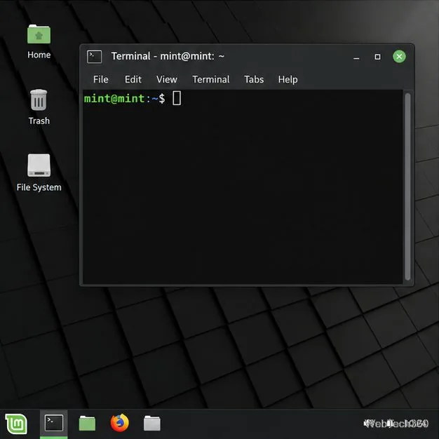 選擇“無（使用純色）”後，Xfce 終端將顯示為不透明的深色背景。