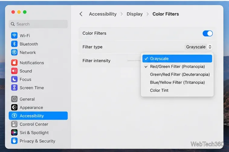 Paramètres des filtres de couleur Mac avec l'option Niveaux de gris sélectionnée dans le menu Type de filtre