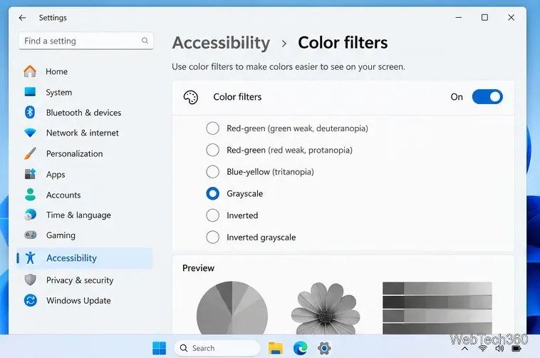 Page des filtres de couleur de Windows 11 avec l'option activée et l'option Niveaux de gris sélectionnée