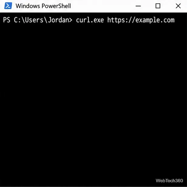 Команда Windows PowerShell, выполняющая простой HTTPS-запрос к example.com с помощью curl.exe.