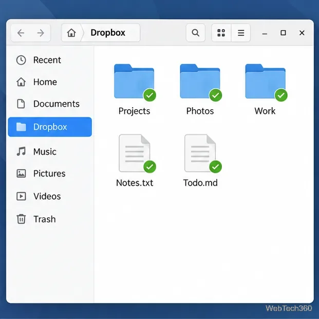 A Linux file manager shows folders and files inside the Dropbox folder with sync check marks.