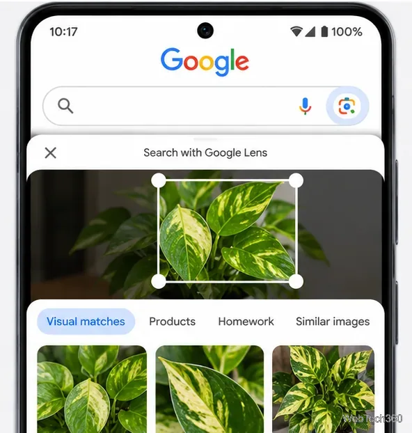 GoogleアプリのGoogleレンズで、選択ボックスを斑入りの緑の葉で絞り込み、下に視覚的に一致する画像を表示