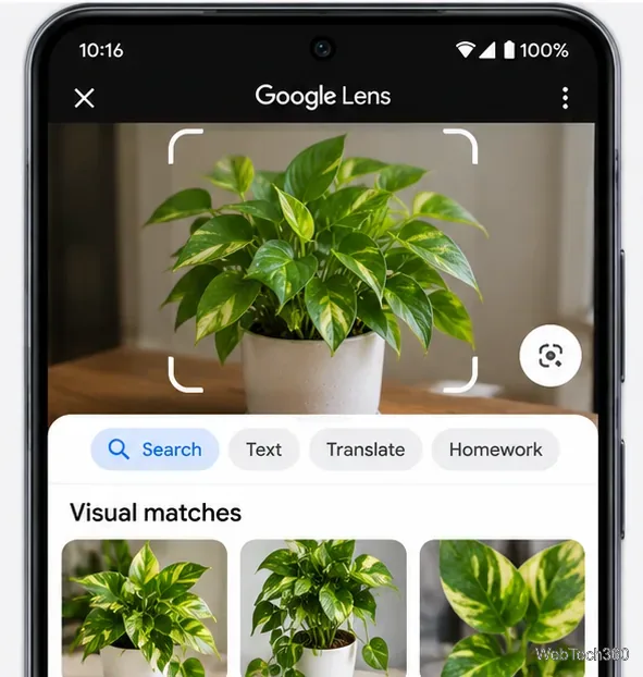 Googleレンズで観葉植物の画像を表示し、類似の葉を持つ植物を含むビジュアルマッチセクションを表示