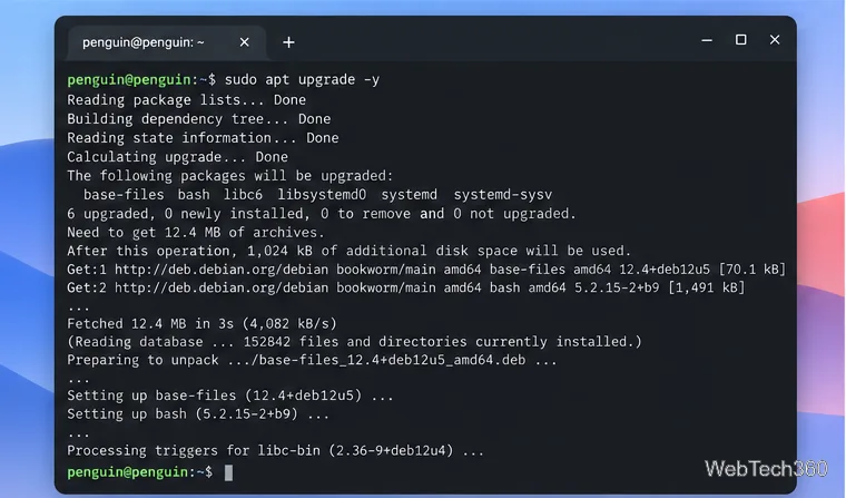 Penguin Linux ターミナルで、プロンプトに sudo apt upgrade -y と入力しました。