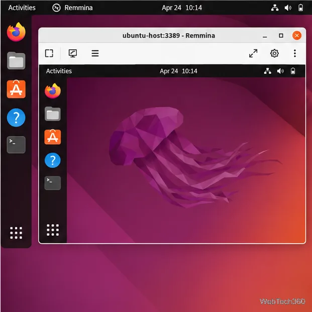 An Ubuntu GNOME desktop displayed inside an active Remmina remote desktop window.